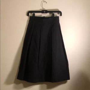 Pleated A-Line Skirt